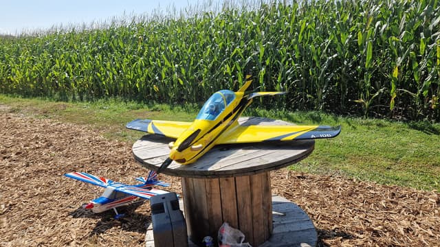 Dogajanje Avgust 2024