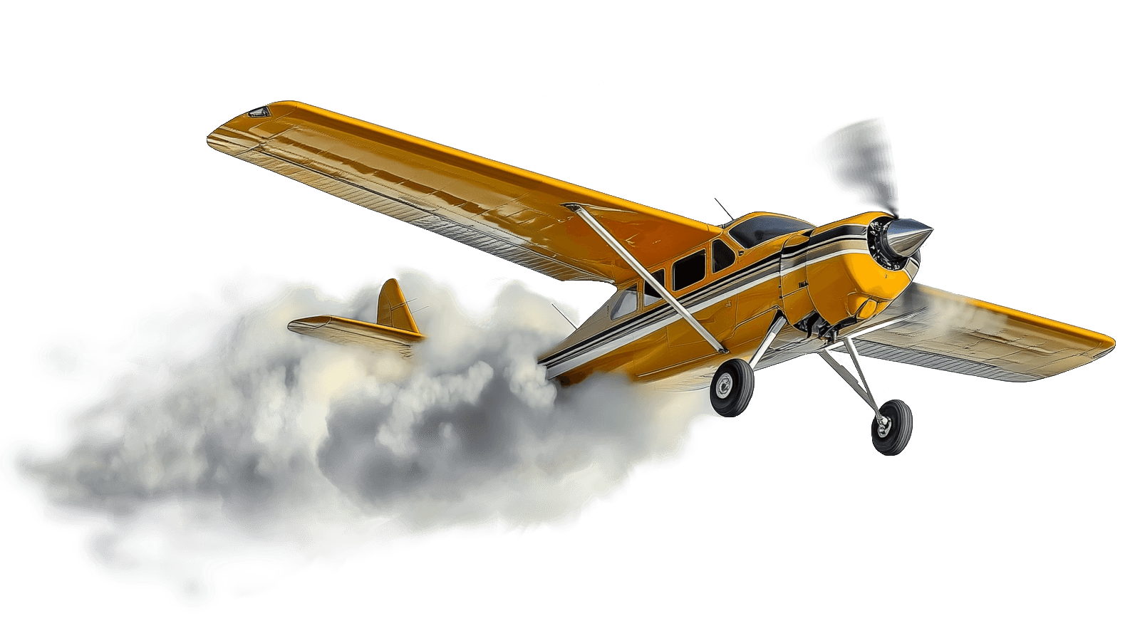 DMA Modra Ptica Logo